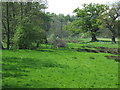 SO7598 : Grazing land by the brook, Stableford, Shropshire by Roger  Kidd