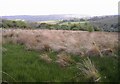 Moorland, south of Penygraig