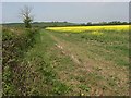 Farmland, Nether Winchendon