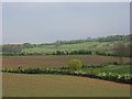 Farmland, Waddesdon