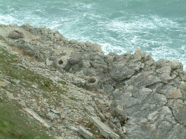 Fossil Forest near Lulworth Cove