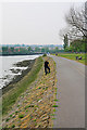 Path beside the River Itchen north of Cobden Bridge, Southampton