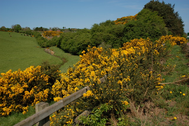 Old railway near Dromore © Albert Bridge cc-by-sa/2.0 :: Geograph Ireland