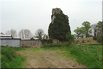 ST3402 : Ivy clad ruins of Holditch Manor House by Ray Beer