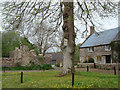 Holditch Manor Farm and ruined church