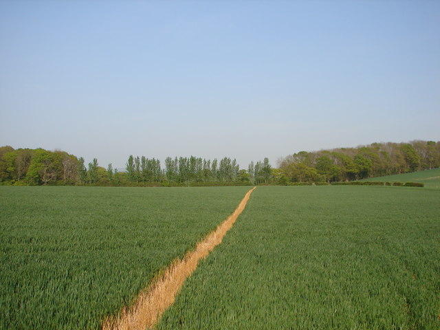 Footpath to Partridge Farm