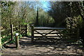 The Tarka Trail near Smytham Manor