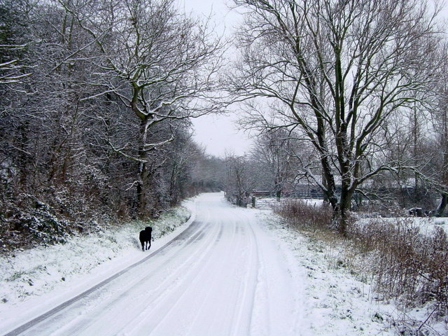 Wortwell Low road in the snow