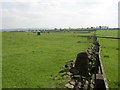 Field with kiosk, off Lindley Moor Road, Lindley-cum-Quarmby