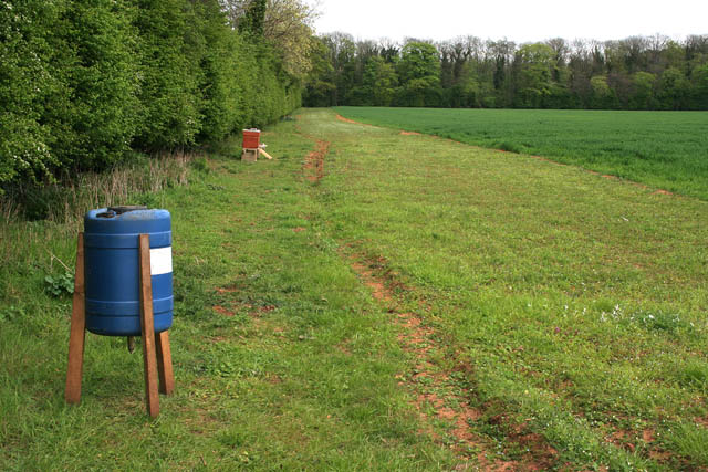 Pheasant Feeders C Kate Jewell Geograph Britain And Ireland