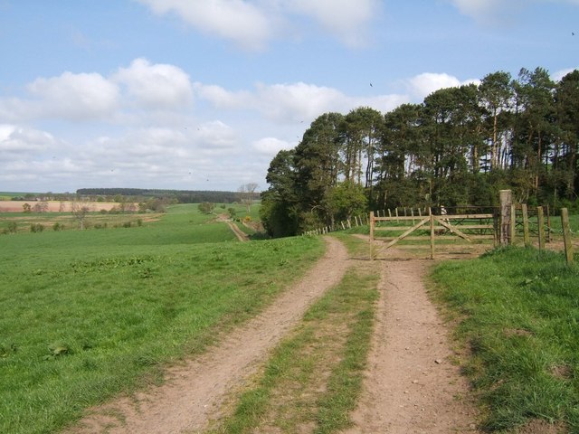 Farm track near Frogden