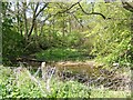 The burn at Lochside