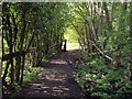 Shaded Footpath