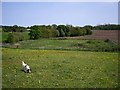 Enclosure In Field