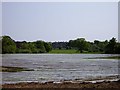 View over field towards Doddington Park House