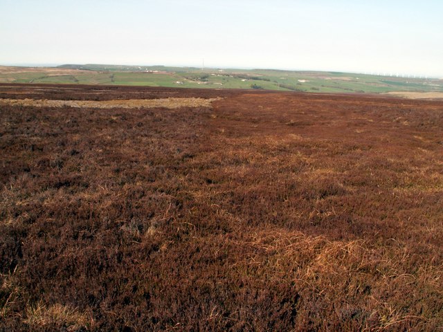 Thurlstone Moor