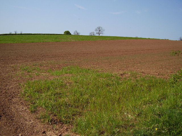 Field from B4116