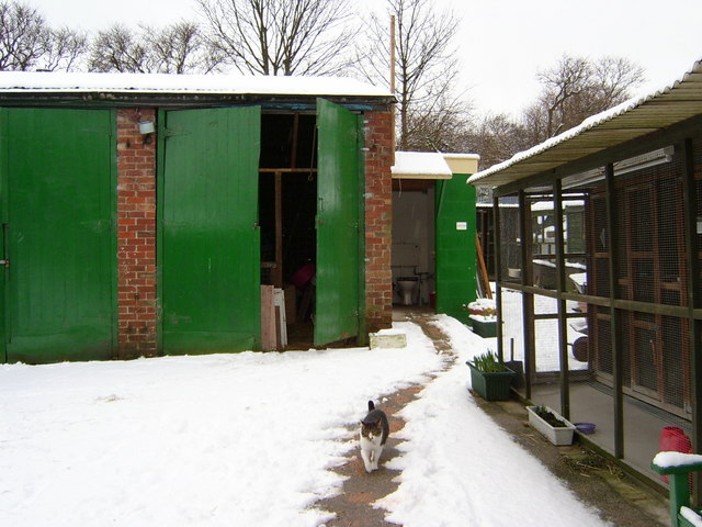 Millstream Animal Shelter, Clayton... © Linden Milner cc-by-sa/2.0