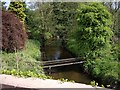 Forge Brook from bridge