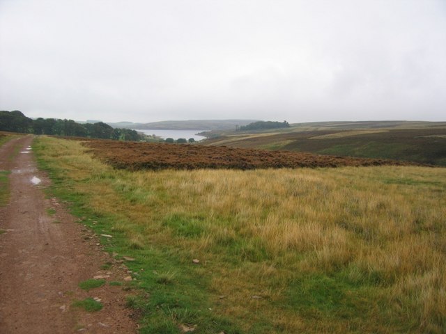 Southern Upland Way, nr Watch Water Reservoir
