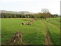 Footpath near Durisdeermill