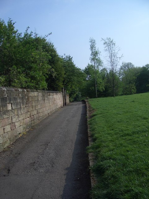 Darley Slade, prehistoric trackway, looking South
