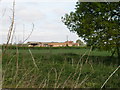 Gelsthorpe Farm from Whixley Lane level crossing