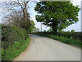 Between Little Pentredafydd and Pentre-Dafydd