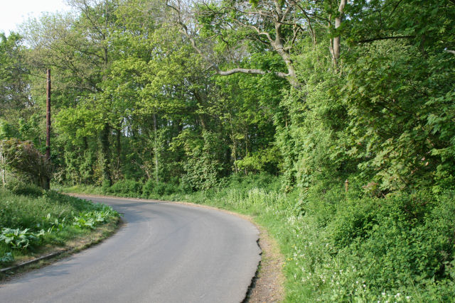 Road and woodland near Lenacre Hall Farm