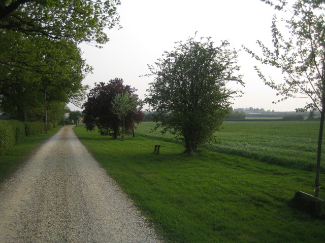 Driveway, Prune Farm near Edgcott