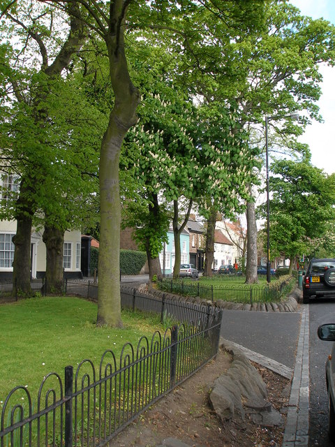 Looking up the High Street towards Chesnut (sic) House