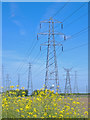 Pylons north of Gunness