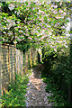 Footpath south of Home Lane, Sparsholt