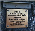 Plaque on whitewashed stone