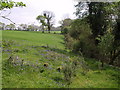 Field near Woodmanswell