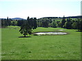 Muir Cottage pond