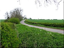 SK7313 : Thorpe Satchville Road looking towards Great Dalby by Andrew Tatlow
