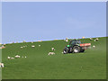 Fertilizing a pasture field