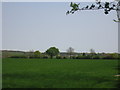 Open farmland near Dadford