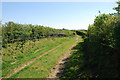 Llwybr fferm Llannor Farm track