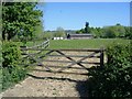 ST9876 : Pasture, at Cadenham Manor by Roger Cornfoot