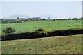 Tir amaethyddol ger Llannor - Farmland near Llannor