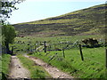 Gateway to the moor