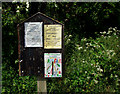 Church Notice Board Puckington