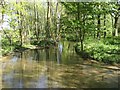 River Stiffkey - upstream view from ford footbridge near Thorpland Hall