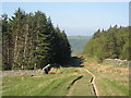 Track through Parmontley Plantation