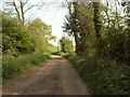 Bridleway and road to Butler