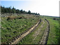 Track to Whitfield Moor