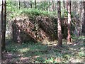 Anti-tank pillbox in Carterslodge Lane