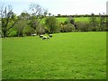 Ballyarton Townland